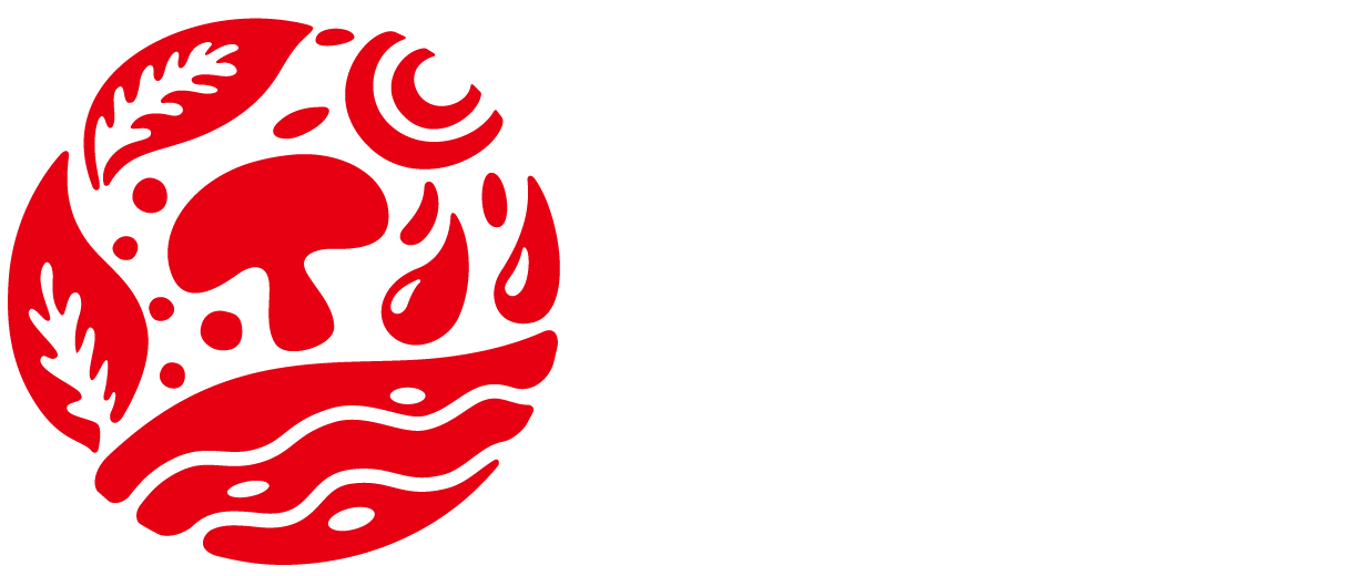 LOGO2