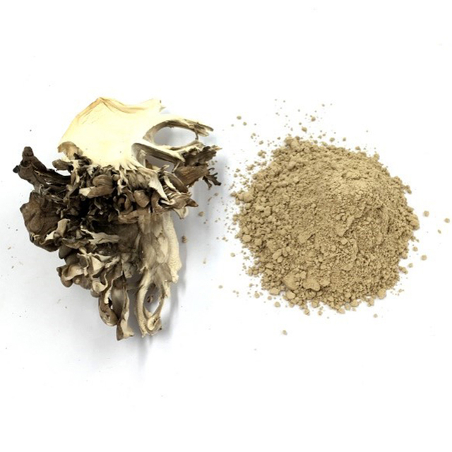 Maitake Extract Powder