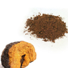 Chaga Extract Powder
