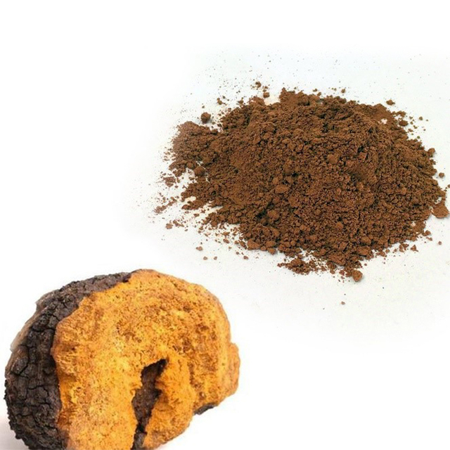 Chaga Extract Powder