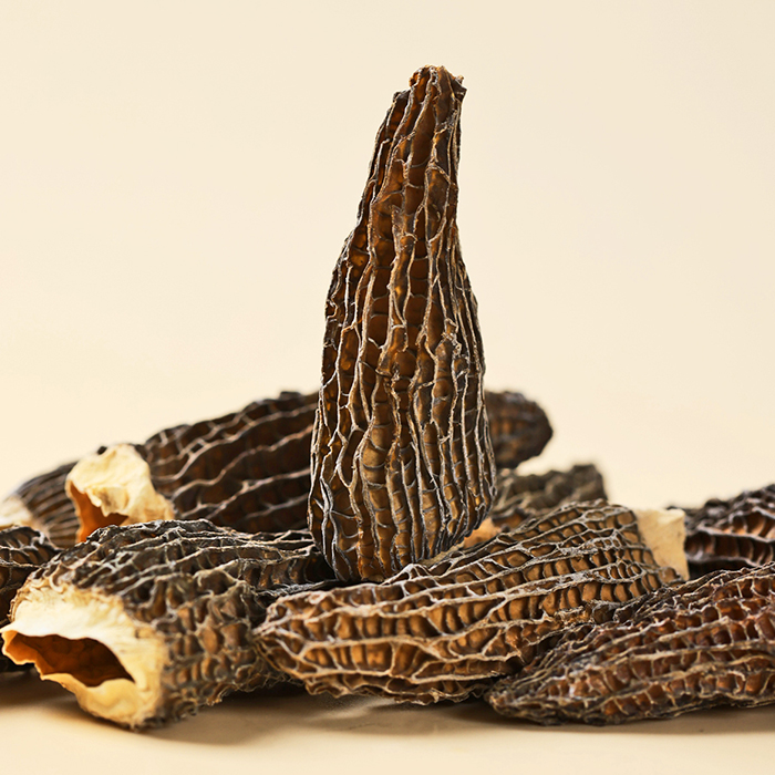 Dried Morel Mushroom